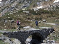 CH, Ticino, Airolo, Passo del San Gottardo 7, Saxifraga-Jan van der Straaten