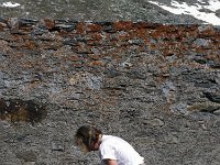 CH, Ticino, Airolo, Passo dell' Uomo 1, Saxifraga-Jan van der Straaten