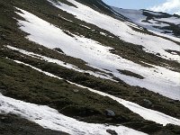 CH, Ticino, Airolo, Passo di Gana Negra 2, Saxifraga-Jan van der Straaten