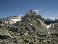 CH, Wallis, Anniviers, Bella Tola 2, Saxifraga-Willem van Kruijsbergen