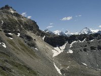 CH, Wallis, Anniviers, Dent Blanche 5, Saxifraga-Willem van Kruijsbergen