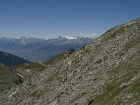 CH, Wallis, Anniviers, Schwarzhorn 4, Saxifraga-Willem van Kruijsbergen