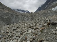 CH, Wallis, Blatten, Loetschental, Langgletscher 14, Saxifraga-Willem van Kruijsbergen