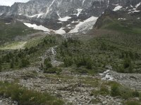 CH, Wallis, Blatten, Loetschental, Langgletscher 5, Saxifraga-Willem van Kruijsbergen