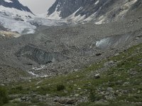 CH, Wallis, Blatten, Loetschental, Langgletscher 7, Saxifraga-Willem van Kruijsbergen