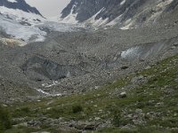 CH, Wallis, Blatten, Loetschental, Langgletscher 9, Saxifraga-Willem van Kruijsbergen