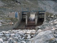 CH, Wallis, Evolène, Glacier de Mont Collon 1, Saxifraga-Jan van der Straaten