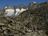 CH, Wallis, Fiesch, Eggishorn 1, Saxifraga-Jan van der Straaten