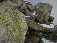 CH, Wallis, Fiesch, Eggishorn 18, Saxifraga-Willem van Kruijsbergen