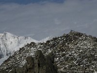 CH, Wallis, Fiesch, Eggishorn 20, Saxifraga-Willem van Kruijsbergen