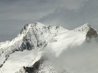 CH, Wallis, Fiesch, Eggishorn, Gross-Wannenhorn 1, Saxifraga-Willem van Kruijsbergen