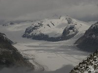 CH, Wallis, Fiesch, Eggishorn, Konkardiaplatz-Truegberg 1, Saxifraga-Willem van Kruijsbergen