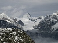 CH, Wallis, Fiesch, Eggishorn, Oberaarhorn 2, Saxifraga-Willem van Kruijsbergen