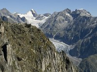 CH, Wallis, Fiesch, Finsteraarhorn 1, Saxifraga-Jan van der Straaten