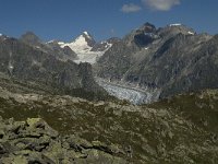 CH, Wallis, Fiesch, Finsteraarhorn 2, Saxifraga-Jan van der Straaten