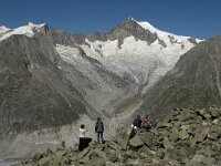 CH, Wallis, Fiesch, Mittlerer Aletschgletscher 2, Saxifraga-Jan van der Straaten