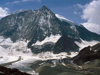 CH, Wallis, Hérémence, Mont Blanc de Cheillon 1, Saxifraga-Jan van der Straaten