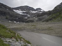 CH, Wallis, Leukerbad, Lammerenboden 1, Saxifraga-Willem van Kruijsbergen