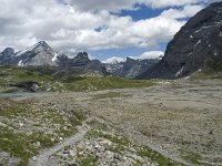 CH, Wallis, Leukerbad, Lammerenboden 2, Saxifraga-Willem van Kruijsbergen