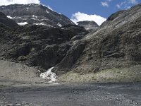 CH, Wallis, Leukerbad, Lammerenboden 20, Saxifraga-Willem van Kruijsbergen