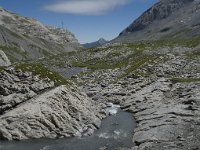 CH, Wallis, Leukerbad, Lammerenboden 3, Saxifraga-Willem van Kruijsbergen