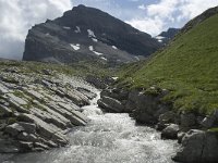 CH, Wallis, Leukerbad, Lammerendalu 1, Saxifraga-Willem van Kruijsbergen