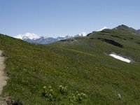 CH, Wallis, Leukerbad, Rinderhuette 7, Saxifraga-Willem van Kruijsbergen