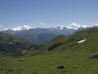 CH, Wallis, Leukerbad, Rinderhuette-Wysse See 11, Saxifraga-Willem van Kruijsbergen