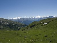 CH, Wallis, Leukerbad, Rinderhuette-Wysse See 13, Saxifraga-Willem van Kruijsbergen