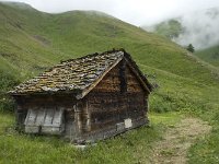 CH, Wallis, Leukerbad, Torrentalp 10, Saxifraga-Willem van Kruijsbergen