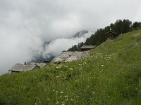 CH, Wallis, Leukerbad, Torrentalp 4, Saxifraga-Willem van Kruijsbergen