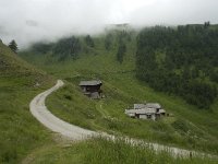 CH, Wallis, Leukerbad, Torrentalp 5, Saxifraga-Willem van Kruijsbergen