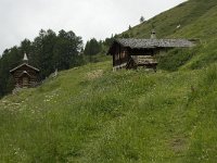 CH, Wallis, Leukerbad, Torrentalp 6, Saxifraga-Willem van Kruijsbergen