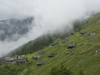 CH, Wallis, Leukerbad, Torrentalp 7, Saxifraga-Willem van Kruijsbergen