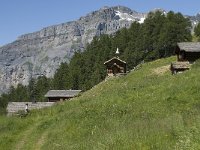 CH, Wallis, Leukerbad, Torrentalp 8, Saxifraga-Willem van Kruijsbergen