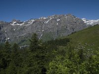 CH, Wallis, Leukerbad, Trubelstock 8, Saxifraga-Willem van Kruijsbergen