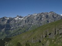 CH, Wallis, Leukerbad, Trubelstock 9, Saxifraga-Willem van Kruijsbergen