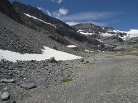 CH, Wallis, Leukerbad, Wildstrubel 13, Saxifraga-Willem van Kruijsbergen