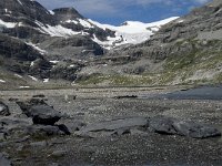 CH, Wallis, Leukerbad, Wildstrubel 15, Saxifraga-Willem van Kruijsbergen