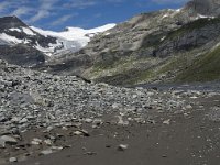 CH, Wallis, Leukerbad, Wildstrubel 7, Saxifraga-Willem van Kruijsbergen