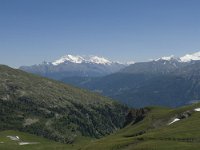 CH, Wallis, Leukerbad, Wysse See 9, Saxifraga-Willem van Kruijsbergen