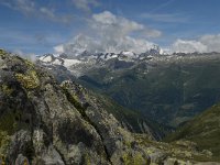 CH, Wallis, Obergoms, Nufenenpass, Finsteraarhorn 3, Saxifraga-Willem van Kruijsbergen