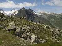 CH, Wallis, Obergoms, Nufenenpass, Griesgletscher and Faulhorn 1, Saxifraga-Willem van Kruijsbergen