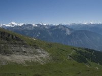 CH, Wallis, Randa, Dent Blanche 2, Saxifraga-Willem van Kruijsbergen