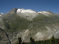 CH, Wallis, Riederalp, Driestgletscher 1, Saxifraga-Willem van Kruijsbergen