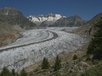 CH, Wallis, Riederalp, Grosser Aletschgletscher 10, Saxifraga-Willem van Kruijsbergen