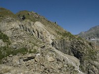 CH, Wallis, Riederalp, Grosser Aletschgletscher 15, Saxifraga-Willem van Kruijsbergen