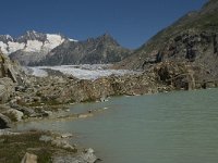 CH, Wallis, Riederalp, Grosser Aletschgletscher 18, Saxifraga-Willem van Kruijsbergen