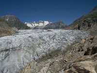 CH, Wallis, Riederalp, Grosser Aletschgletscher 3, Saxifraga-Willem van Kruijsbergen