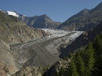 CH, Wallis, Riederalp, Grosser Aletschgletscher 30, Saxifraga-Willem van Kruijsbergen